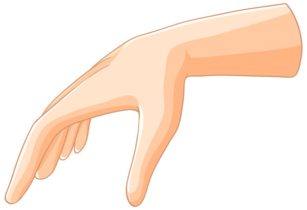 ������ ���� �������� ����