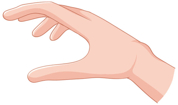 ������ ��������� ����