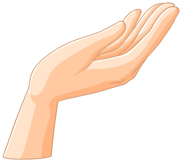 ������ �������� ����