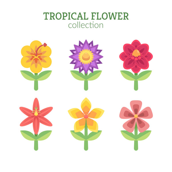 ������ ����������� ������