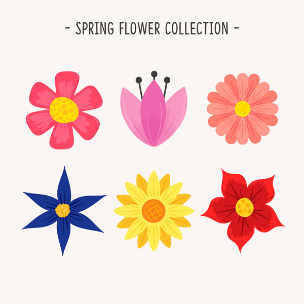 ������ �������� ������, 6 ����