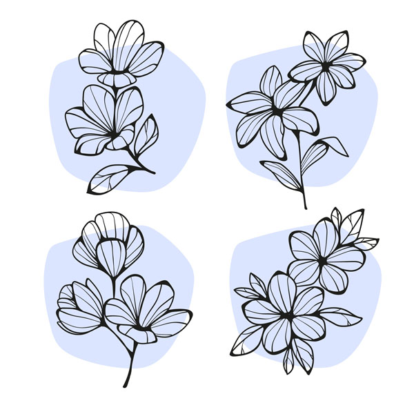 ������ ������ ������