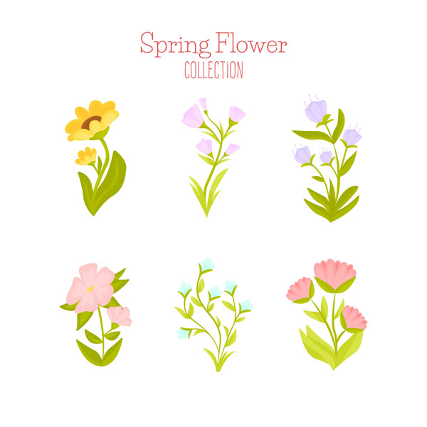 ������ ������ �� ������, 6 ����